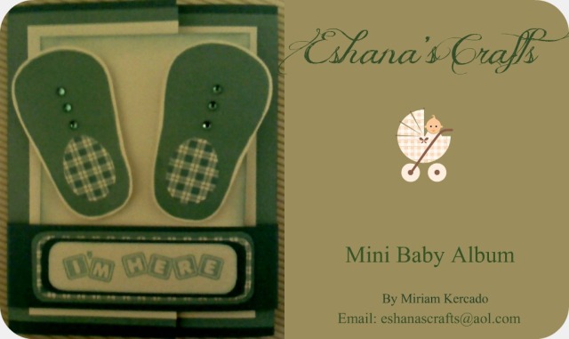 Mini Baby Album